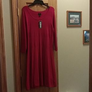 Red sweater dress